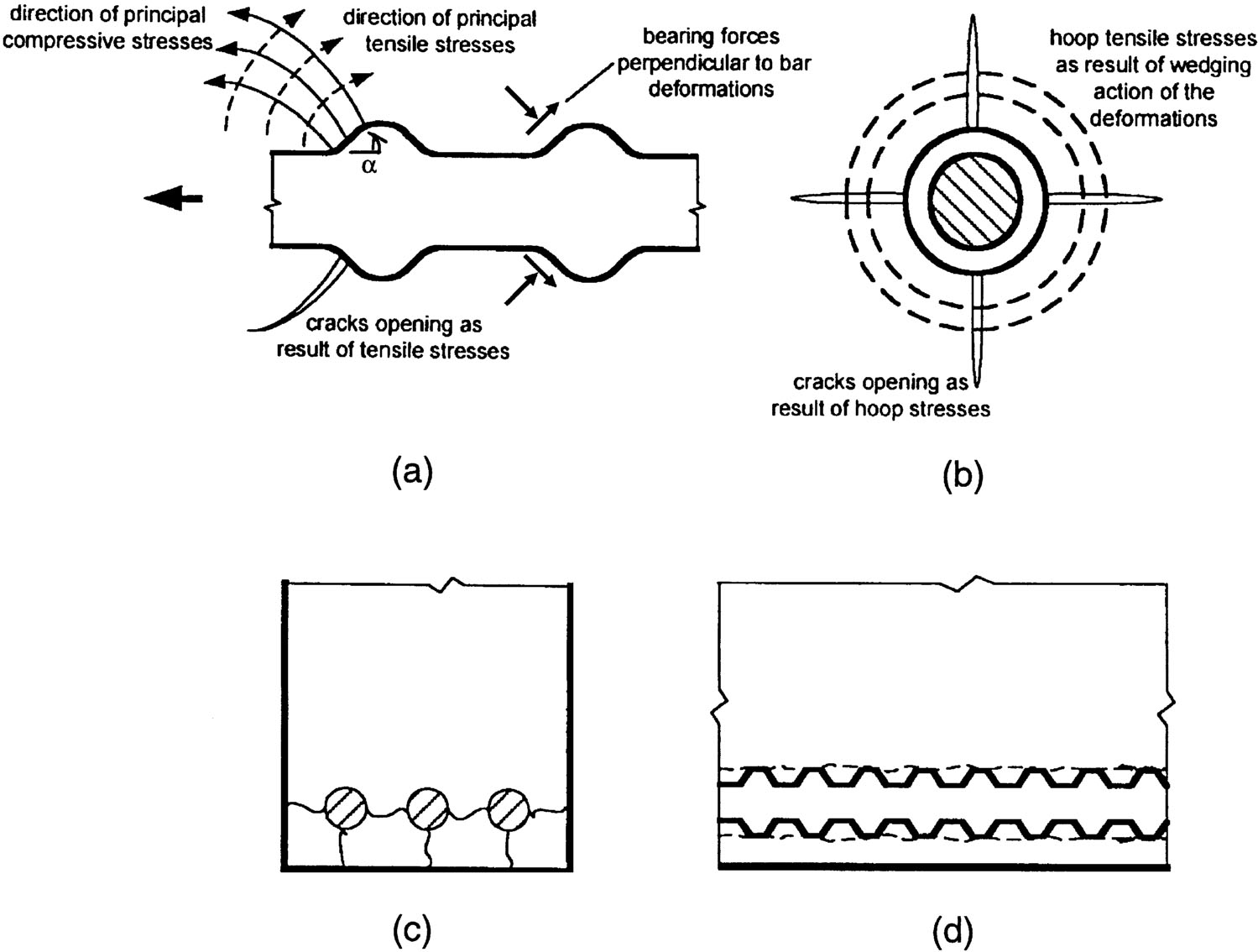 Cracking and damage mechanisms in bond: (a) side view of a deformed bar with deformation face angle a showing formation of Goto cracks; (b) end view showing formation of splitting cracks (c) end view of a member showing splitting cracks,(d) side view of member showing shear crack and/or local concrete crushing due to bar pullout